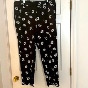 Talbots pant